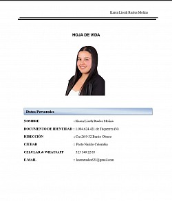 KAREN LISETH RUALES MOLINA  LICENCIADA EN ESPAÑOL E INGLES