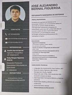 JOSE ALEJANDRO BERNAL FIGUEROA     INGENIERO DE SISETMAS